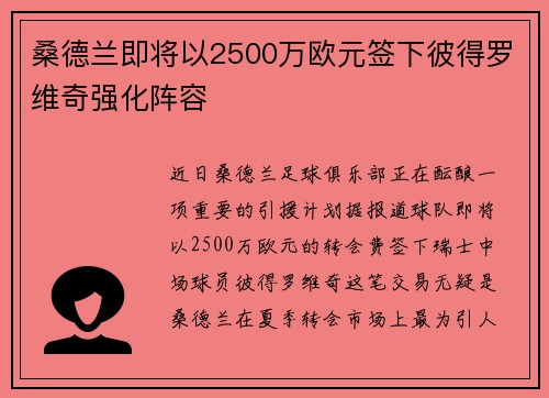 桑德兰即将以2500万欧元签下彼得罗维奇强化阵容